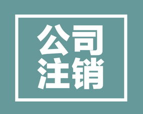 小规模纳税人企业注销流程详解与代办电信业务注意事项